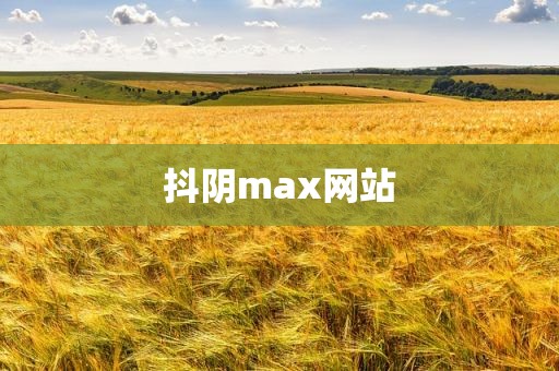 抖阴max网站