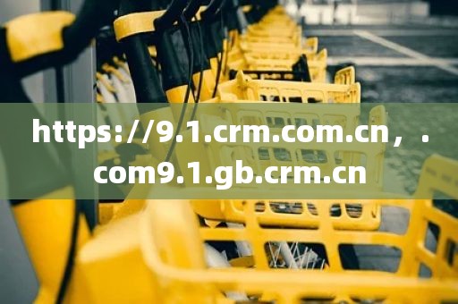 https://9.1.crm.com.cn，.com9.1.gb.crm.cn