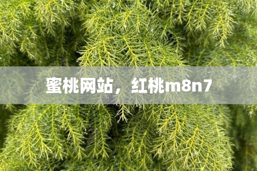 蜜桃网站，红桃m8n7