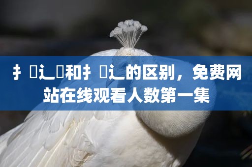 扌喿辶畐和扌喿辶的区别，免费网站在线观看人数第一集