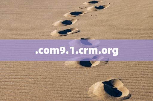 .com9.1.crm.org