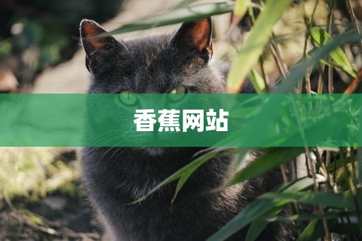 香蕉网站