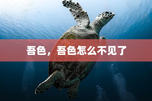 吾色，吾色怎么不见了