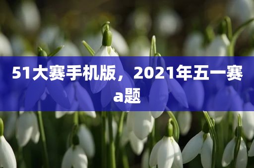 51大赛手机版，2021年五一赛a题