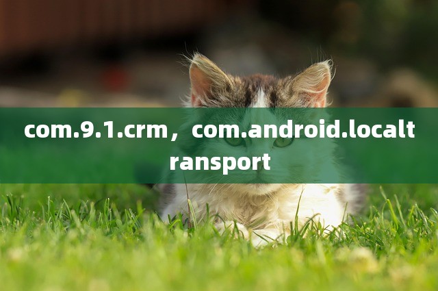 com.9.1.crm，com.android.localtransport