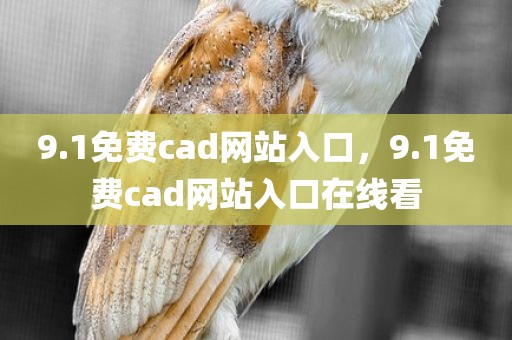 9.1免费cad网站入口，9.1免费cad网站入口在线看