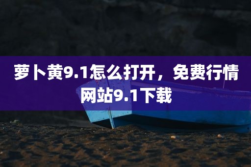 萝卜黄9.1怎么打开，免费行情网站9.1下载