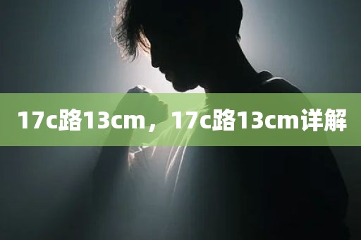 17c路13cm，17c路13cm详解