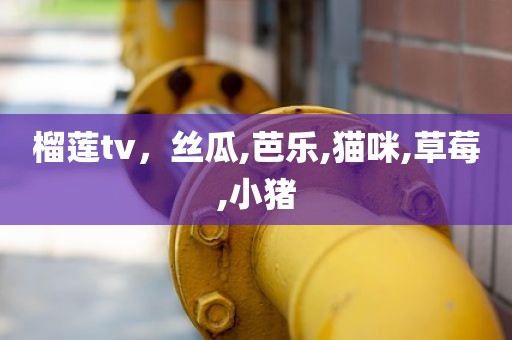 榴莲tv，丝瓜,芭乐,猫咪,草莓,小猪