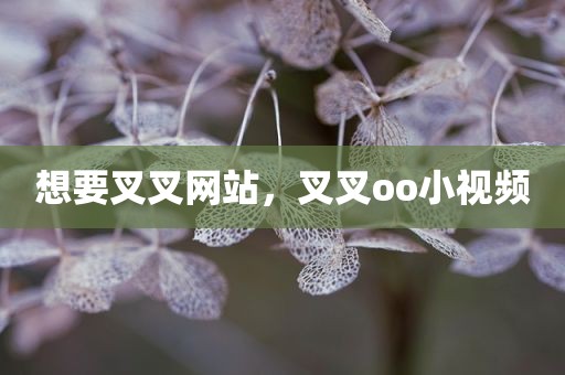 想要叉叉网站，叉叉oo小视频