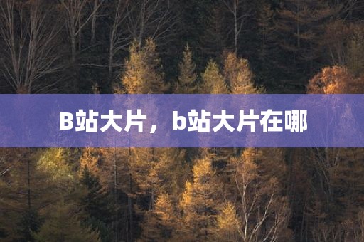 B站大片，b站大片在哪