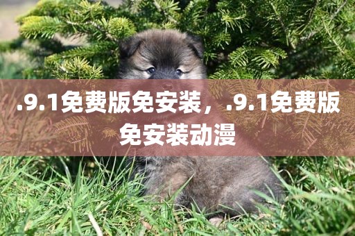 .9.1免费版免安装，.9.1免费版免安装动漫