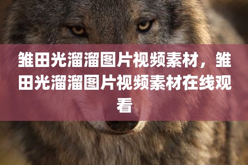 雏田光溜溜图片视频素材，雏田光溜溜图片视频素材在线观看