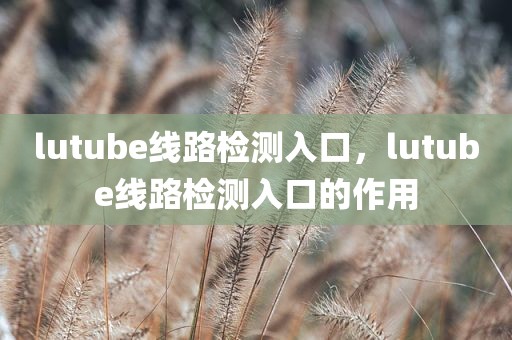 lutube线路检测入口，lutube线路检测入口的作用