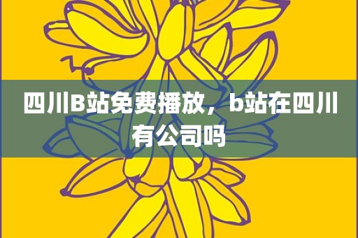 四川B站免费播放，b站在四川有公司吗