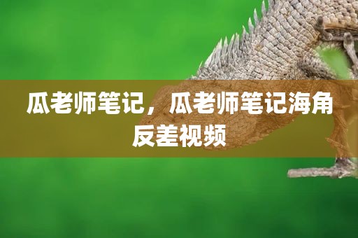 瓜老师笔记，瓜老师笔记海角反差视频