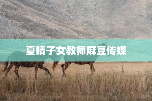 夏晴子女教师麻豆传媒