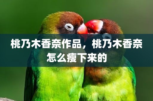 桃乃木香奈作品，桃乃木香奈怎么瘦下来的