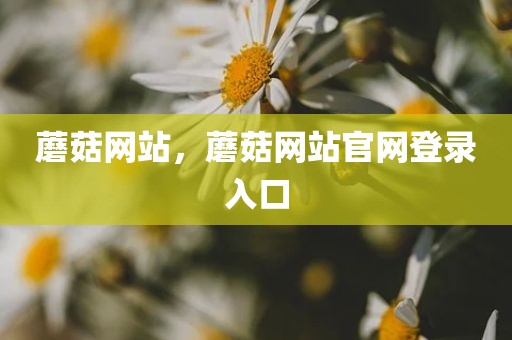 蘑菇网站，蘑菇网站官网登录入口