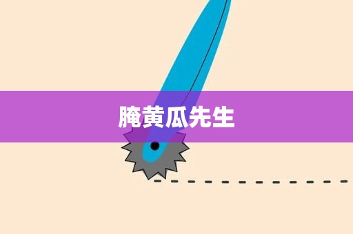 腌黄瓜先生