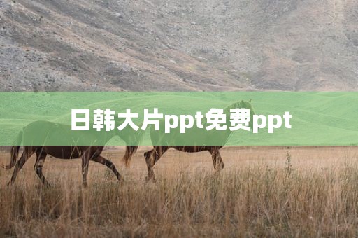 日韩大片ppt免费ppt