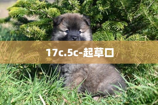 17c.5c-起草口