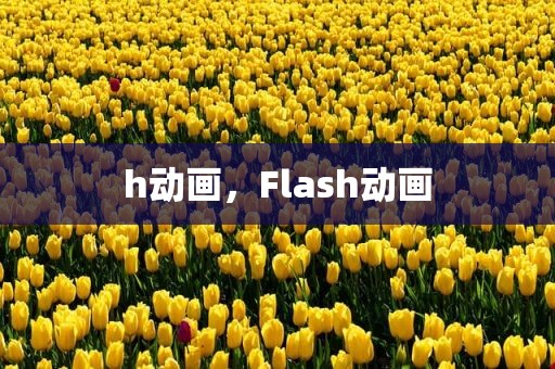 h动画，Flash动画