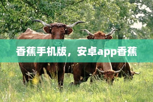 香蕉手机版，安卓app香蕉