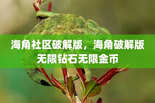 海角社区破解版，海角破解版无限钻石无限金币