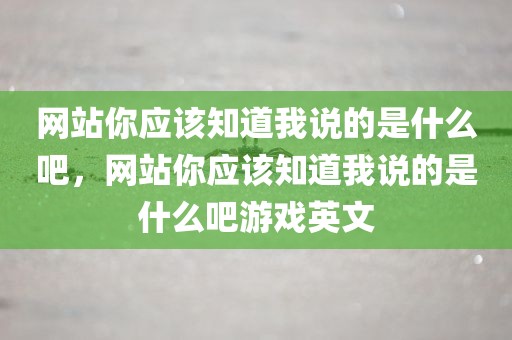 网站你应该知道我说的是什么吧，网站你应该知道我说的是什么吧游戏英文