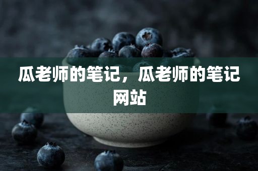 瓜老师的笔记，瓜老师的笔记网站