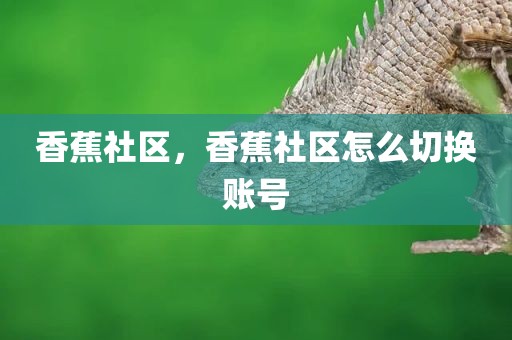 香蕉社区，香蕉社区怎么切换账号