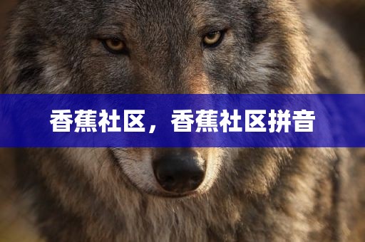 香蕉社区，香蕉社区拼音