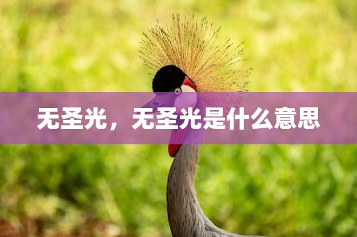 无圣光，无圣光是什么意思
