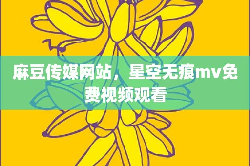 麻豆传媒网站，星空无痕mv免费视频观看