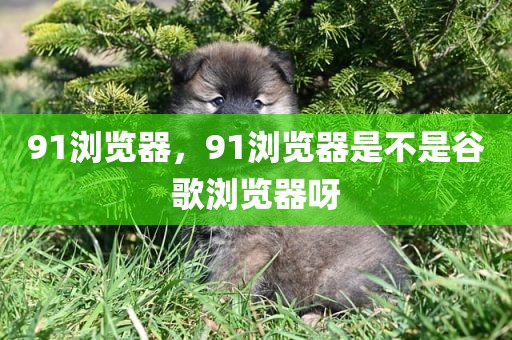 91浏览器，91浏览器是不是谷歌浏览器呀