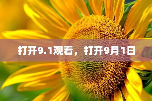 打开9.1观看，打开9月1日