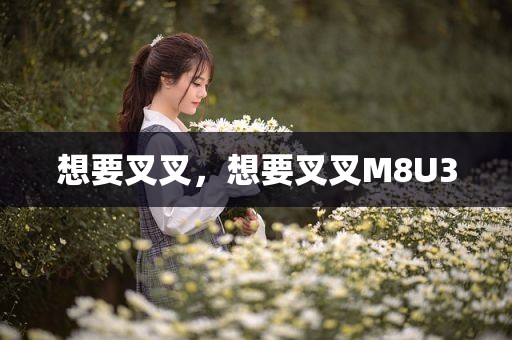 想要叉叉，想要叉叉M8U3