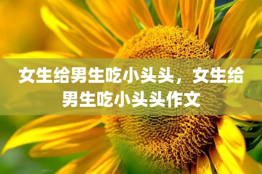 女生给男生吃小头头，女生给男生吃小头头作文