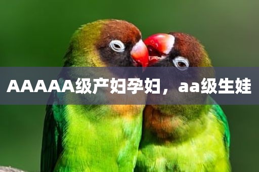 AAAAA级产妇孕妇，aa级生娃