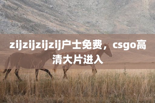 zijzijzijzij户士免费，csgo高清大片进入