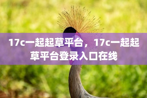 17c一起起草平台，17c一起起草平台登录入口在线