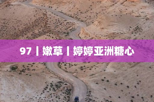 97丨嫩草丨婷婷亚洲糖心