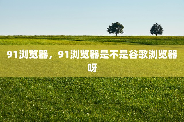 91浏览器，91浏览器是不是谷歌浏览器呀