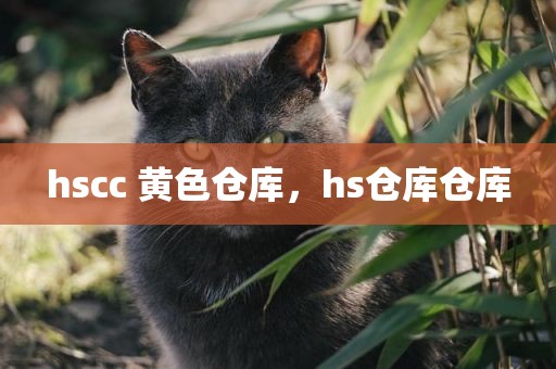 hscc 黄色仓库，hs仓库仓库