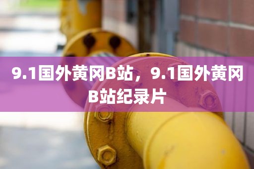 9.1国外黄冈B站，9.1国外黄冈B站纪录片