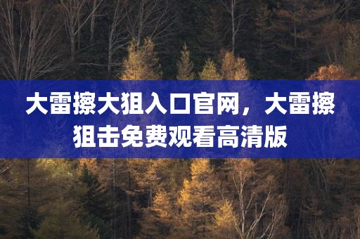 大雷擦大狙入口官网，大雷擦狙击免费观看高清版