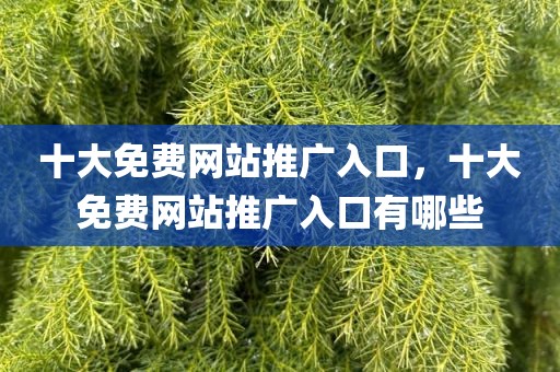 十大免费网站推广入口，十大免费网站推广入口有哪些