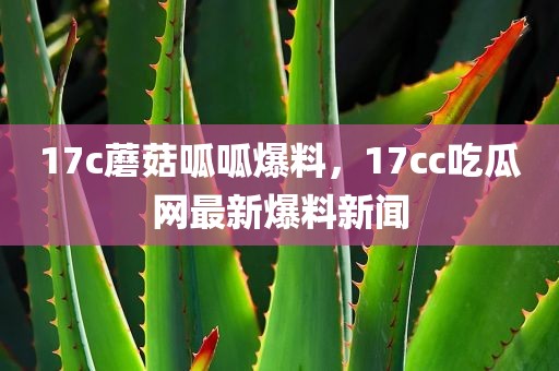 17c蘑菇呱呱爆料，17cc吃瓜网最新爆料新闻