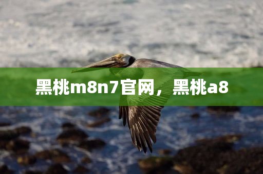 黑桃m8n7官网，黑桃a8